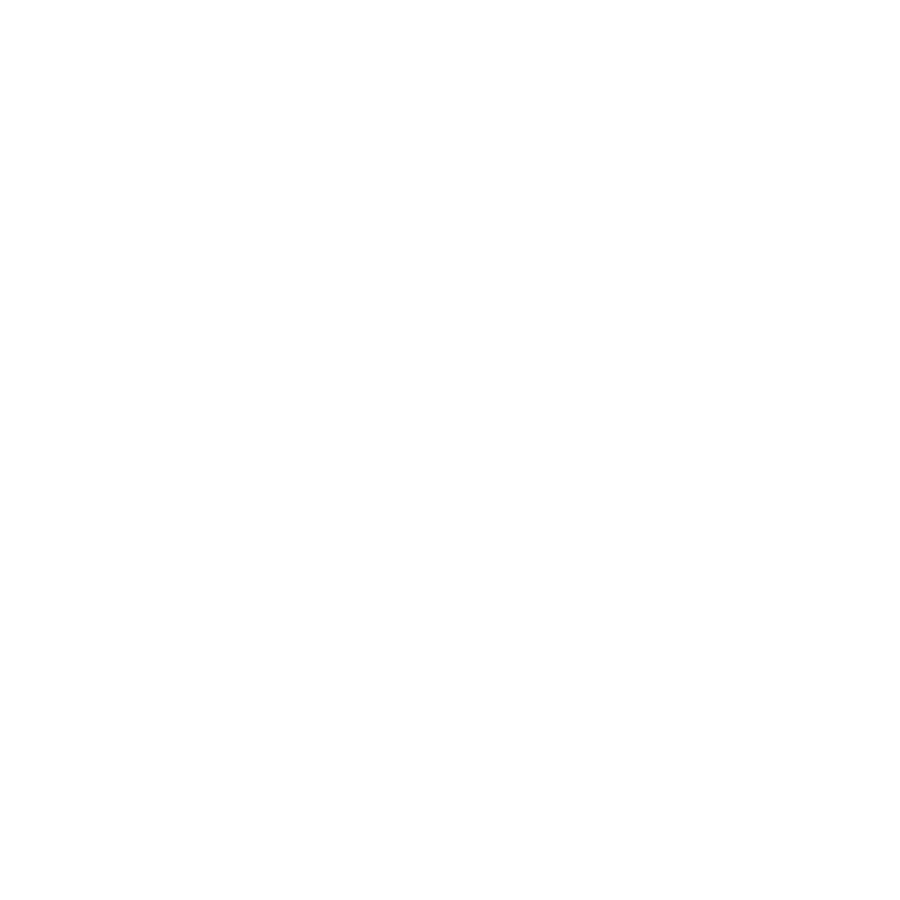 Presse-fotos-udv.dk - Logo White PNG