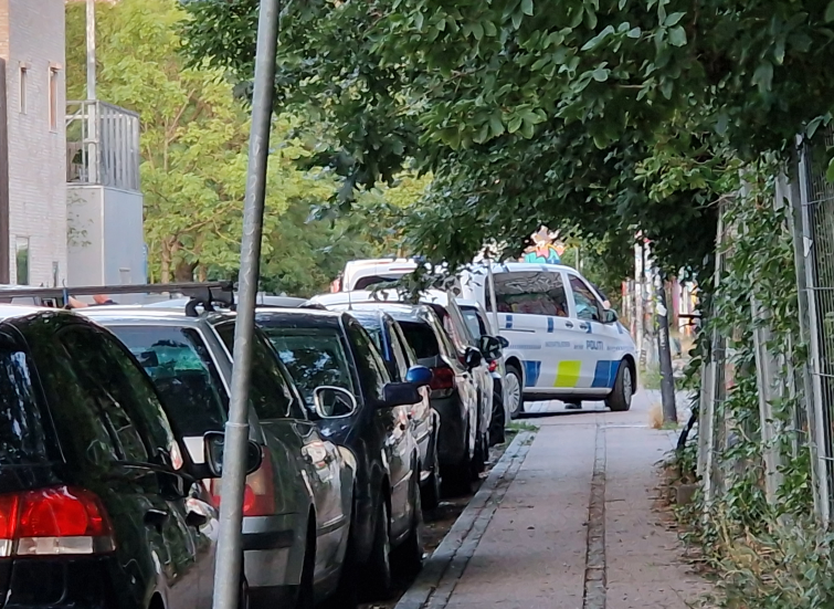 Politiet rydder Pusher Street og anholder to personer